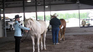 Sierra at show